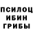 Галлюциногенные грибы GOLDEN TEACHER Sebastian Klein