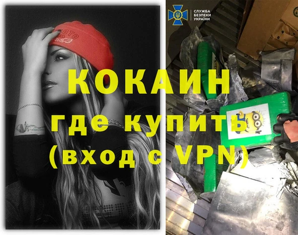 твердый Заводоуковск