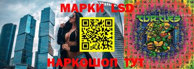 мет Сланцы