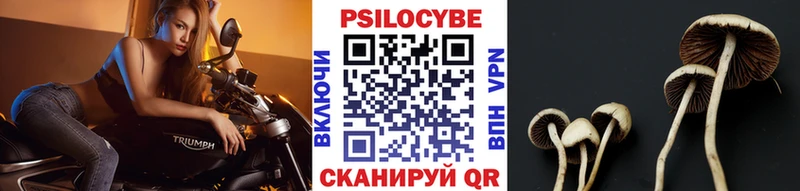 Псилоцибиновые грибы MAGIC MUSHROOMS  наркошоп  mega зеркало  сайты даркнета официальный сайт  Тобольск 