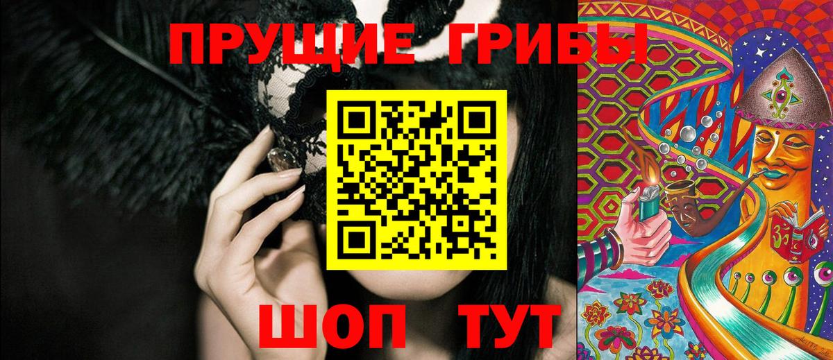 Галлюциногенные грибы Psilocybe Тобольск